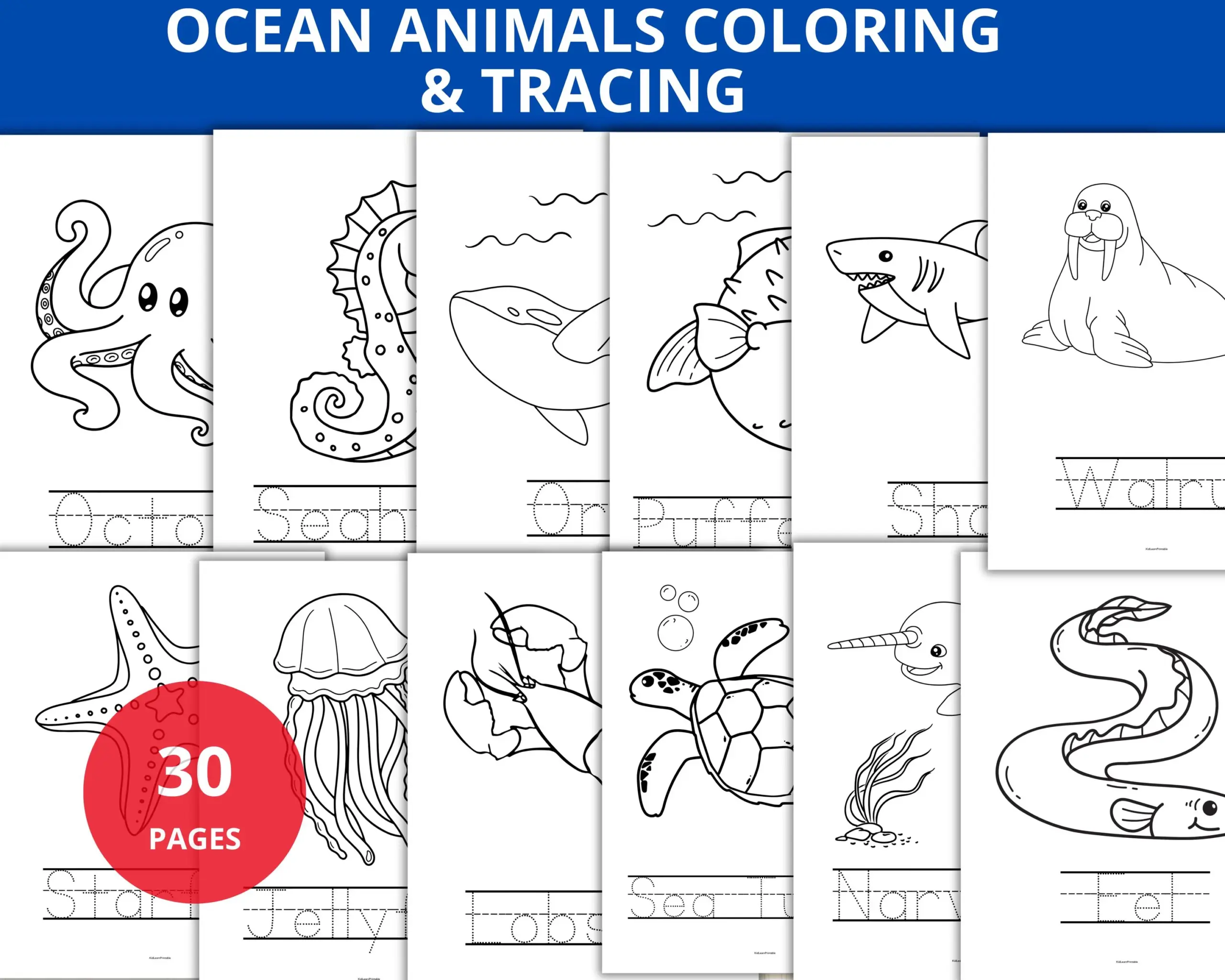 Sea Animals Tracing Worksheets