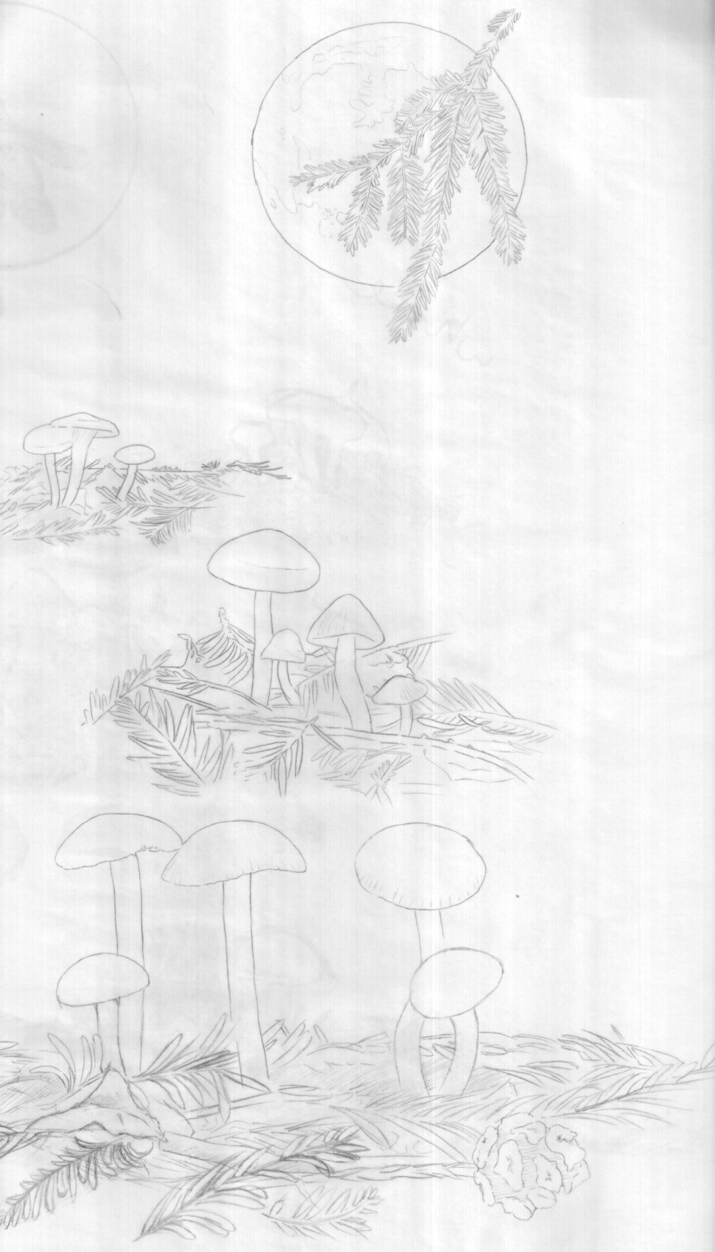 On Mushrooms amp Scanning The Life Artistic