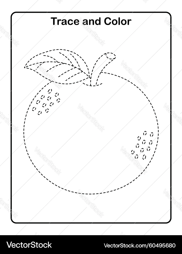 Orange Fruit Tracing Worksheet Royalty Free Vector VectorStock