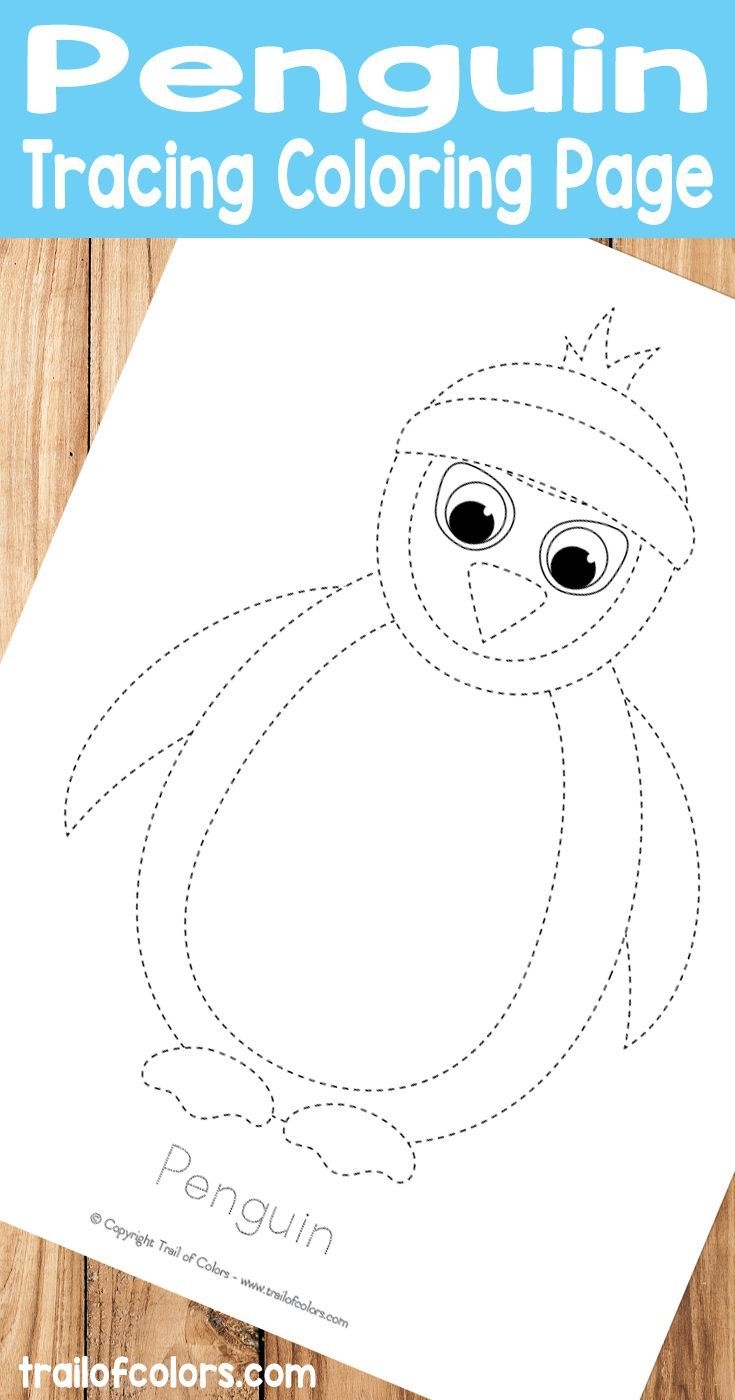 Penguin Tracing Coloring Page Trail Of Colors