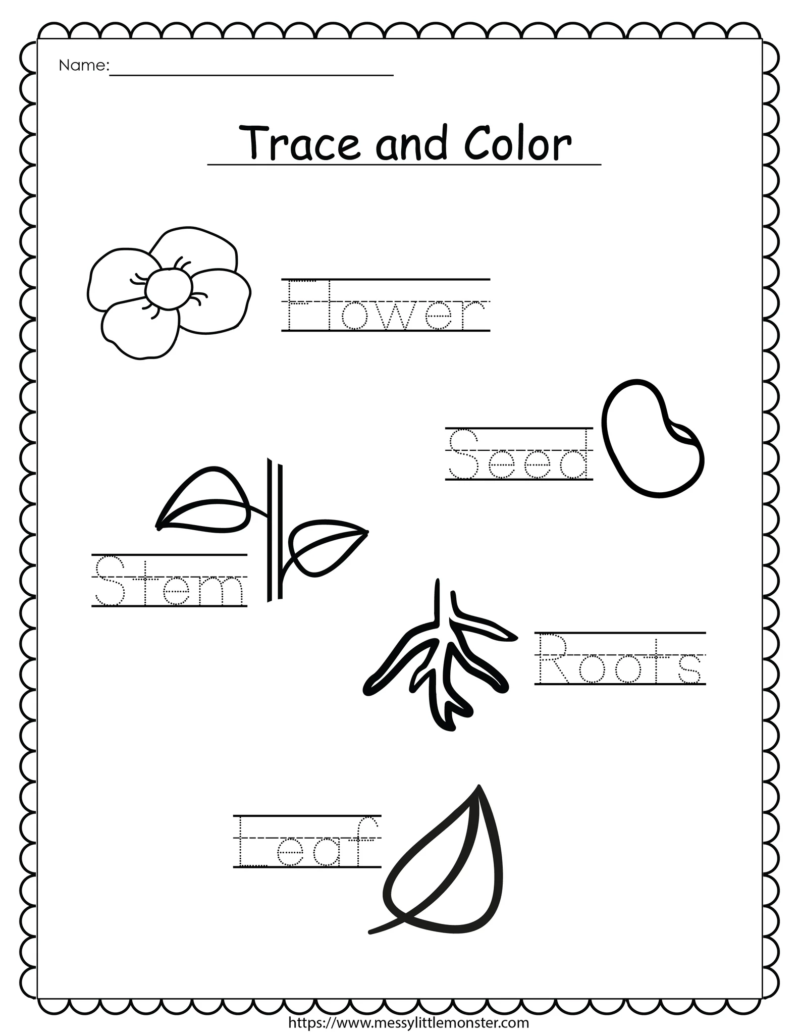 Plant Printable Activities Messy Little Monster Shop
