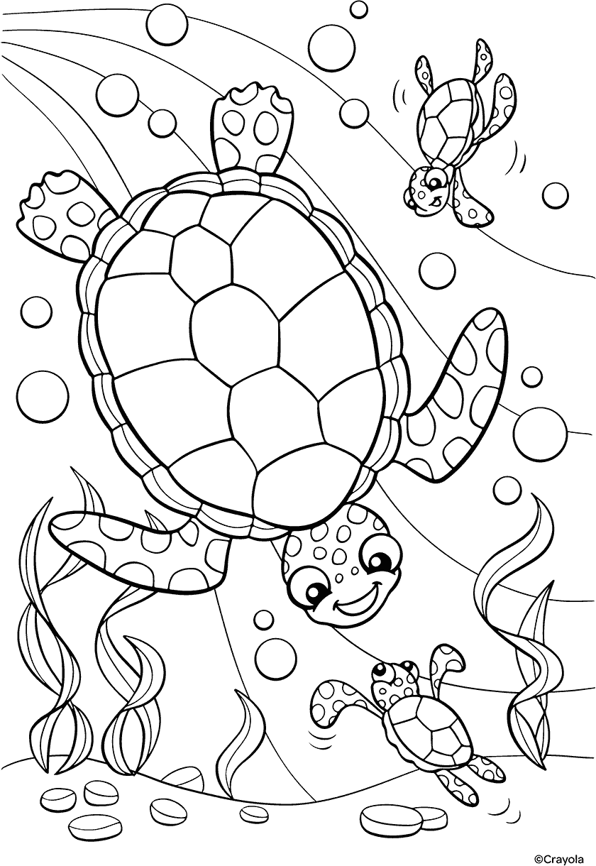 Plants And Animals Free Kids Coloring Pages
