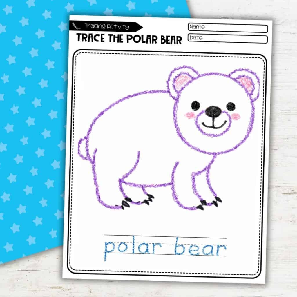 Polar Bear Tracing Pages For Preschool Free Printable 