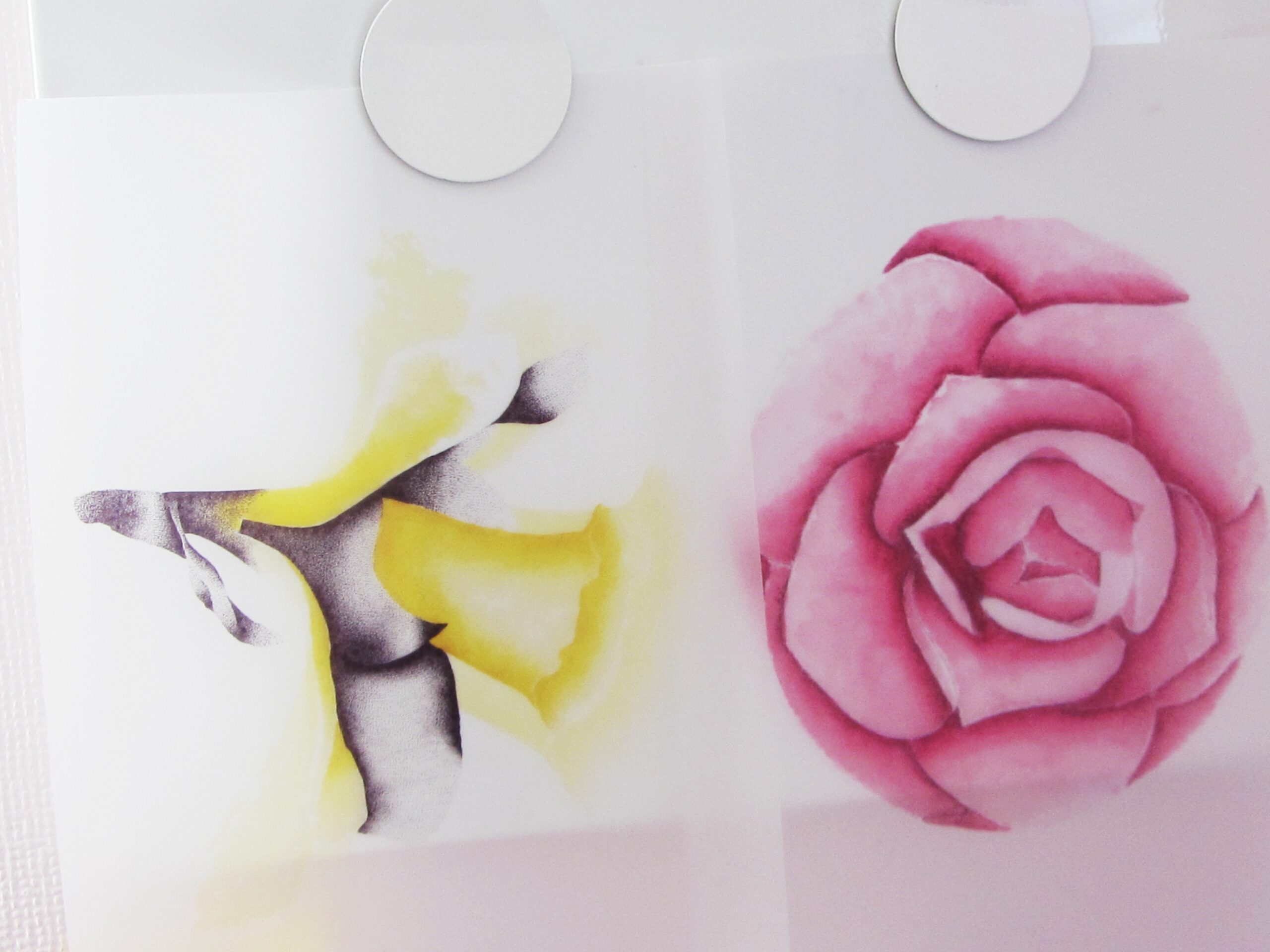 Printing Onto Tracing Paper Charlotte Rebecca Sleigh