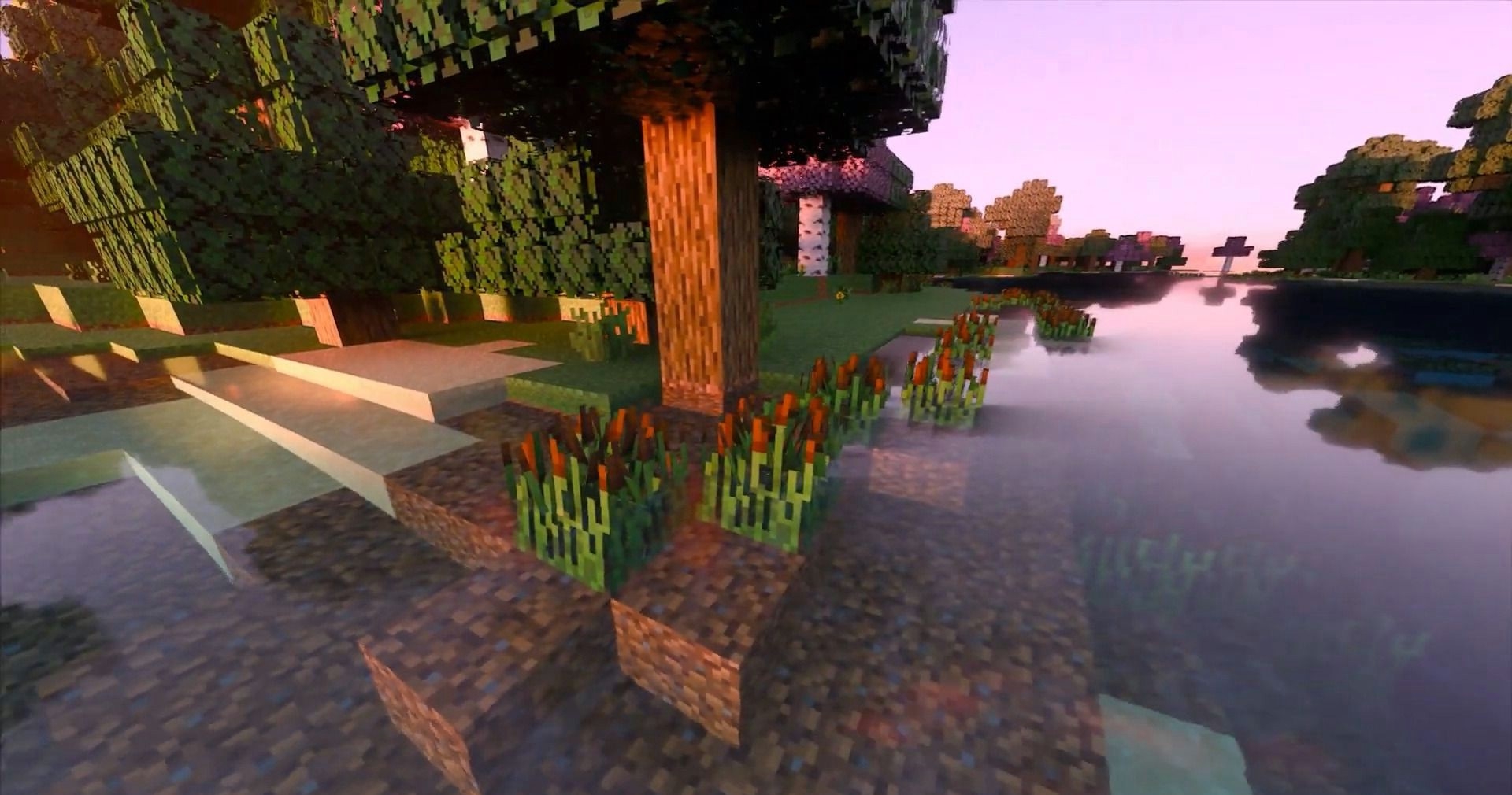 Minecraft Free Ray Tracing Shaders