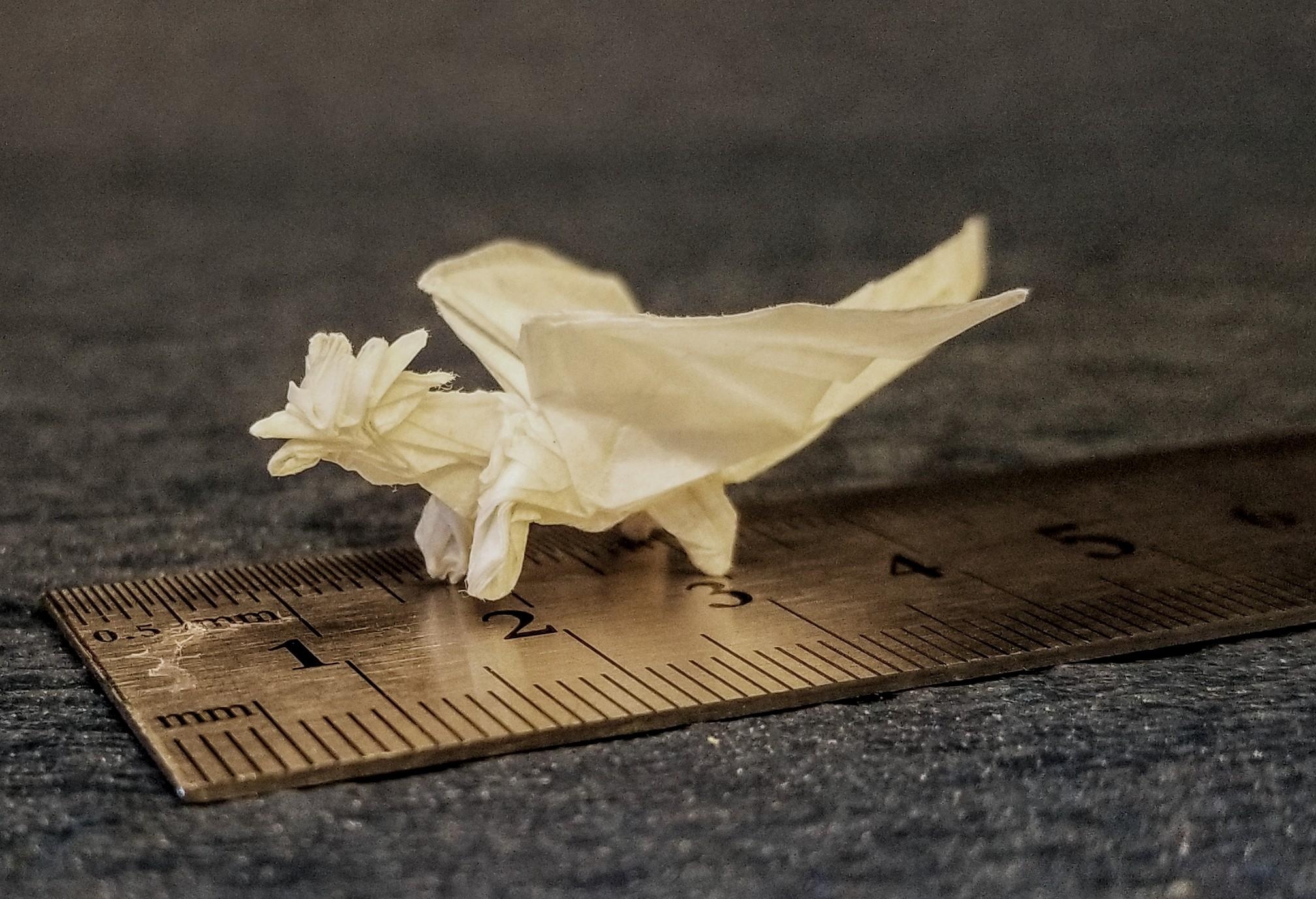 Small Ancient Dragon Designed By Satoshi Kamiya 8cm Tracing Paper 