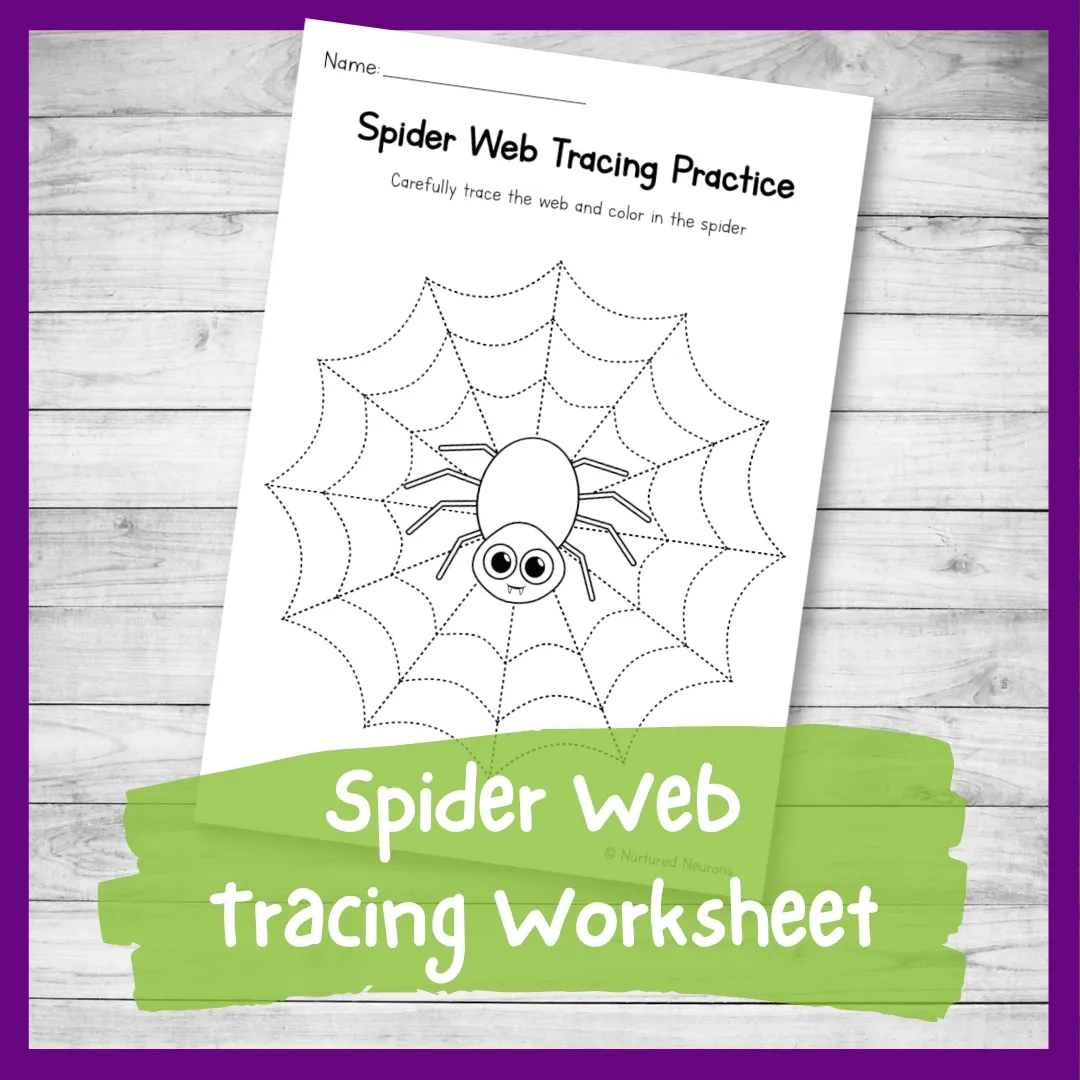 Spider Web Tracing Practice Worksheet Preschool Printable 