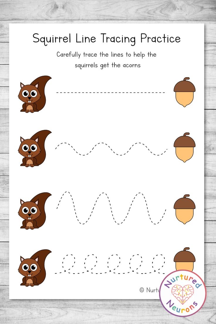 Squirrel Line Tracing Worksheets Preschool Printable Nurtured 