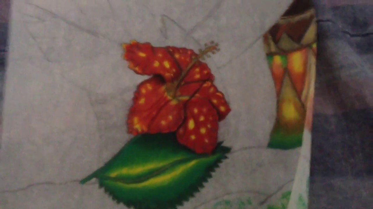The Effect Of Prismacolor Colored Pencils On Tracing Paper YouTube