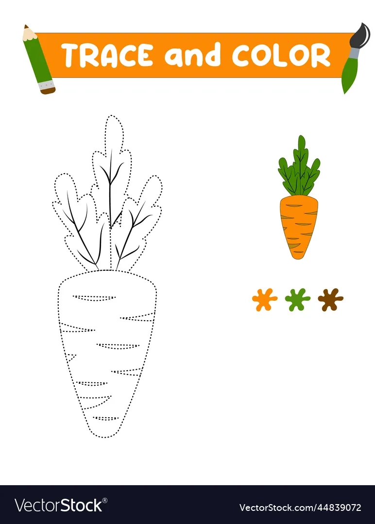 Trace And Color The Vegetables A Training Sheet Royalty Free 