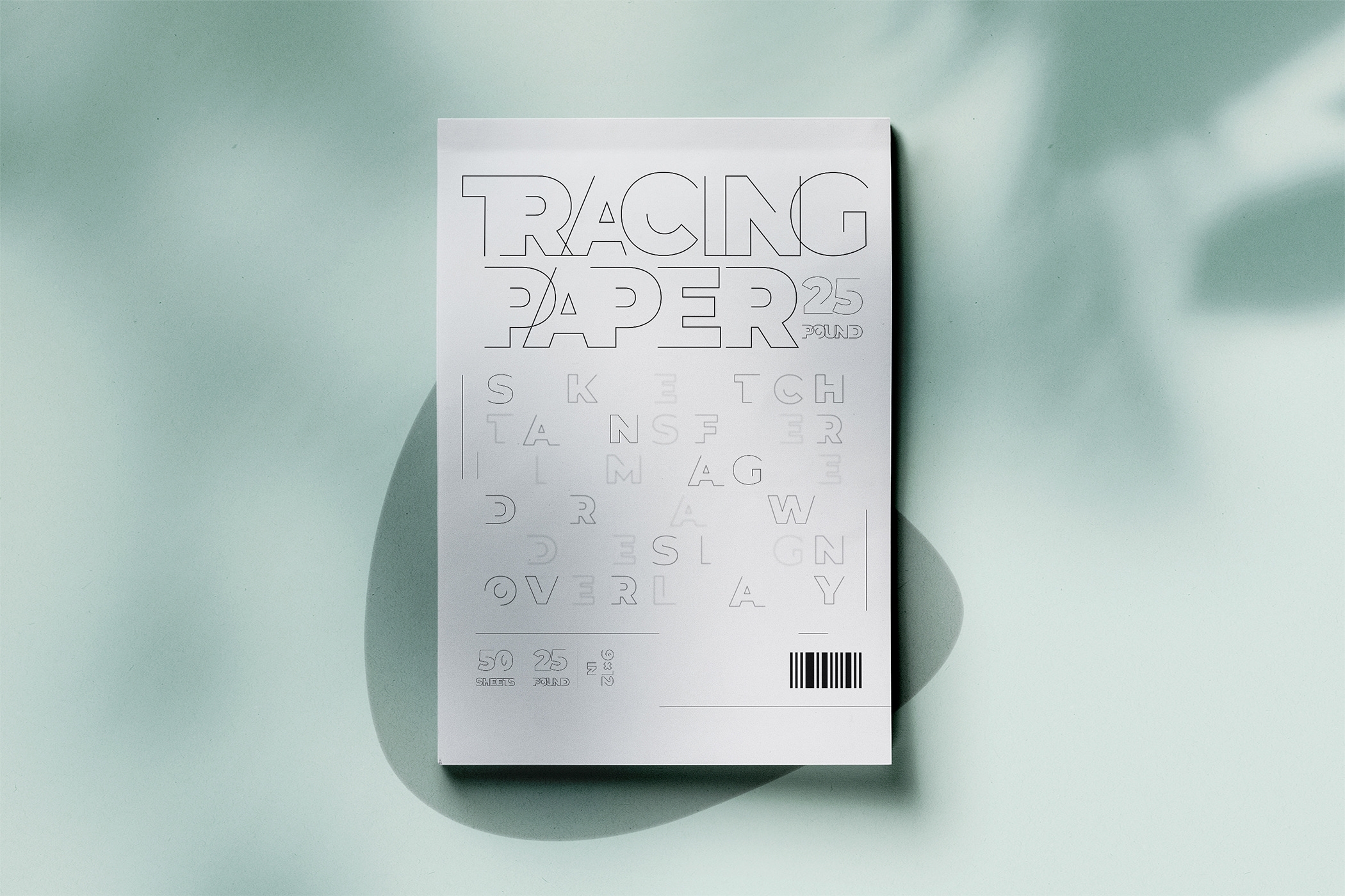 Tracing A Typographic Odyssey Blending Boldness And Delicacy In 
