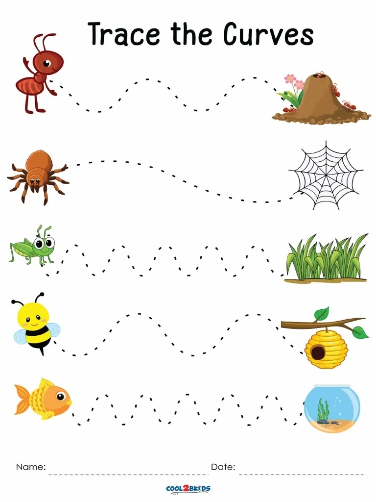 Tracing Curves Worksheets PDF PDF