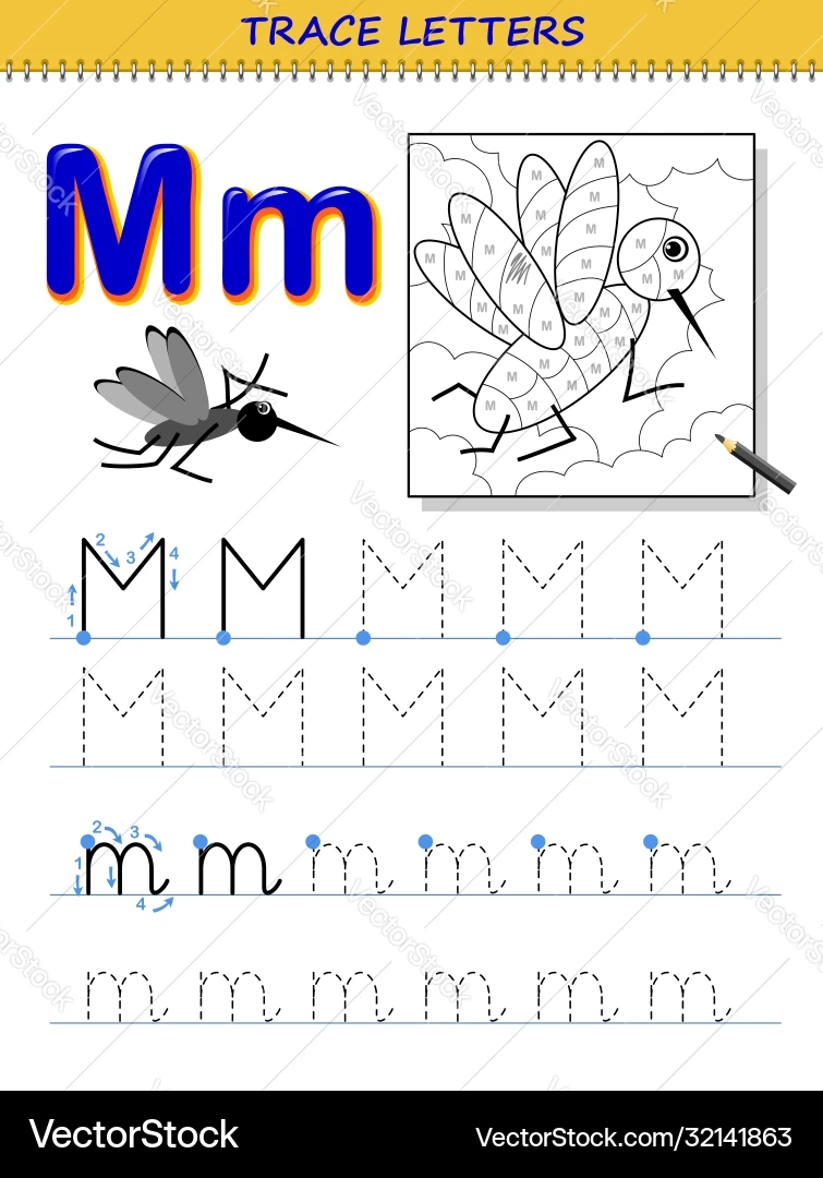 Tracing Letter M Alphabet Worksheet Royalty Free Vector 