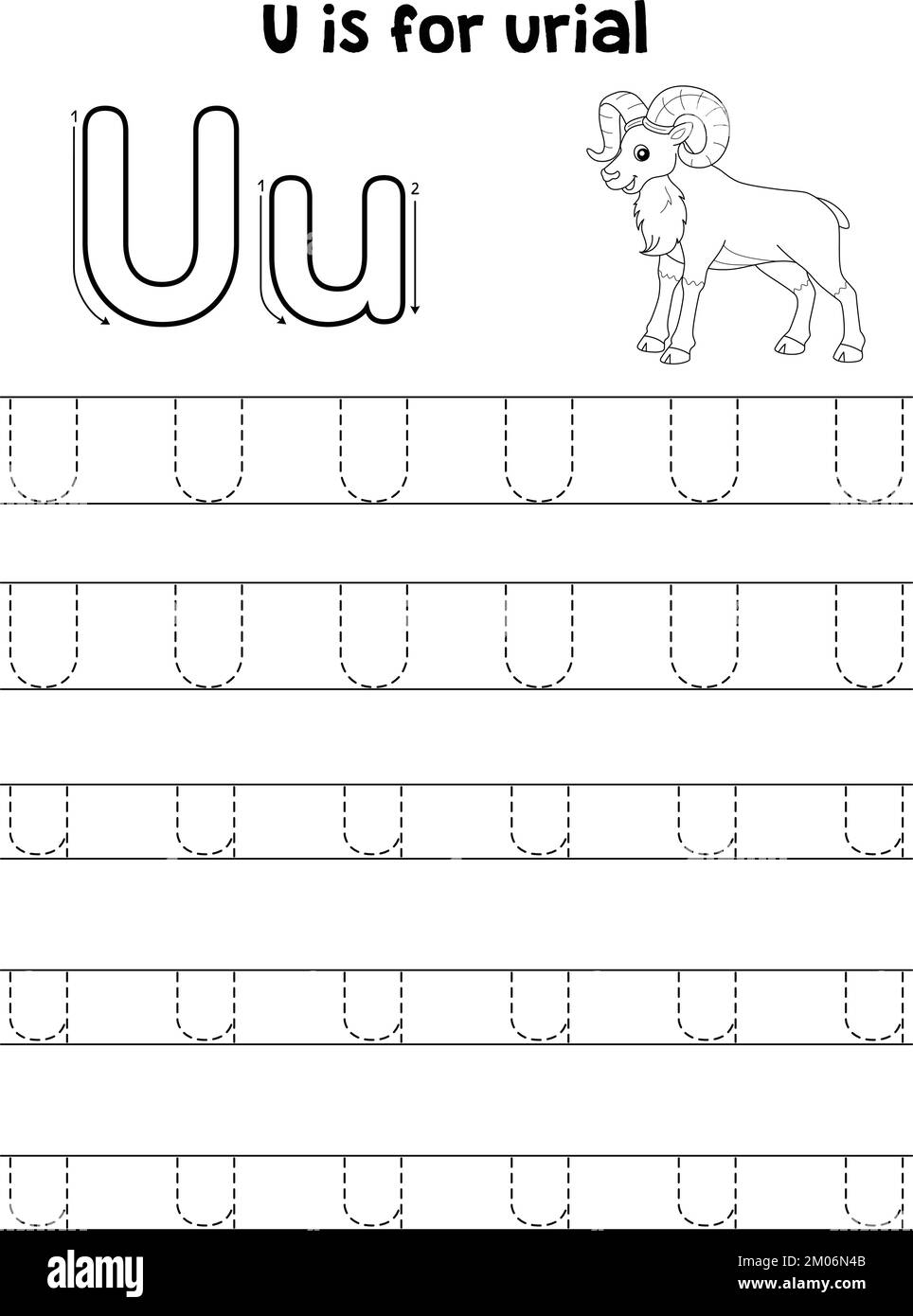 Tracing Letter U Cut Out Stock Images amp Pictures Alamy