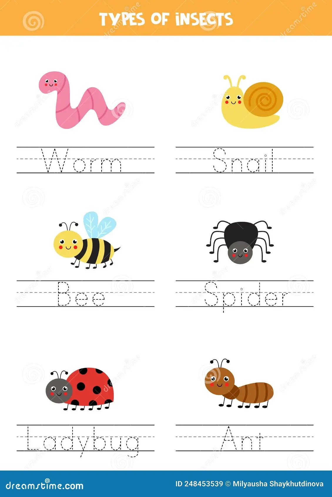 Insect Tracing Worksheet