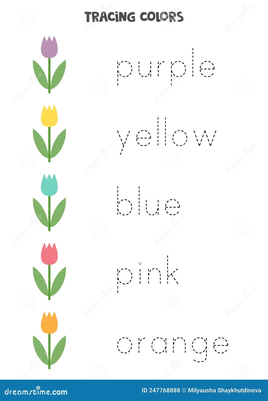 Tracing Words Of Basic Colors Preschool Worksheet Stock Vector 