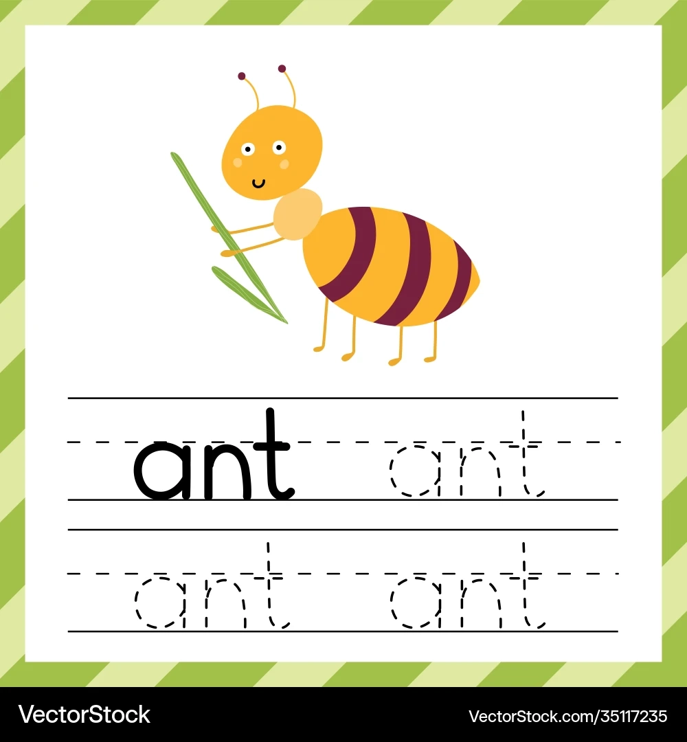 Tracing Worksheet With Word ant Learning Royalty Free Vector 