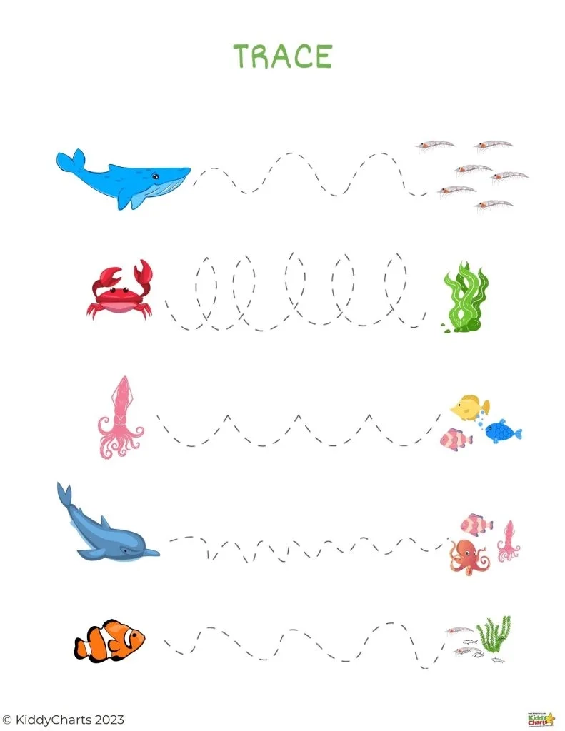 Under The Sea Tracing Worksheets Under The Sea Tracing Worksheets