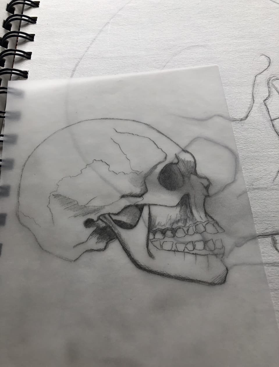 Using Tracing Paper Jane Shares Some Of Her Uses Of It 