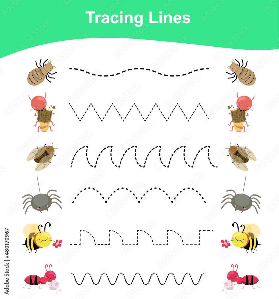 Vektor Tracing Lines Game Insects Edition Educational Worksheet 