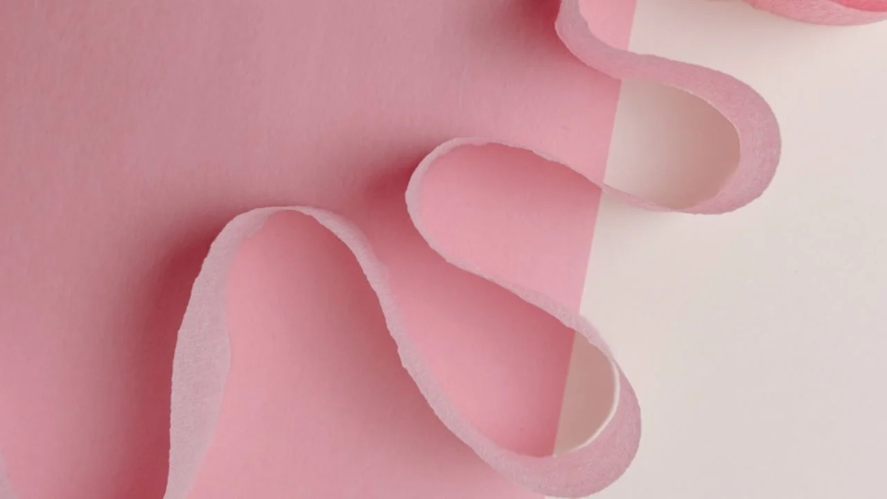 Vellum Paper Vs Tracing Paper Spot The Difference