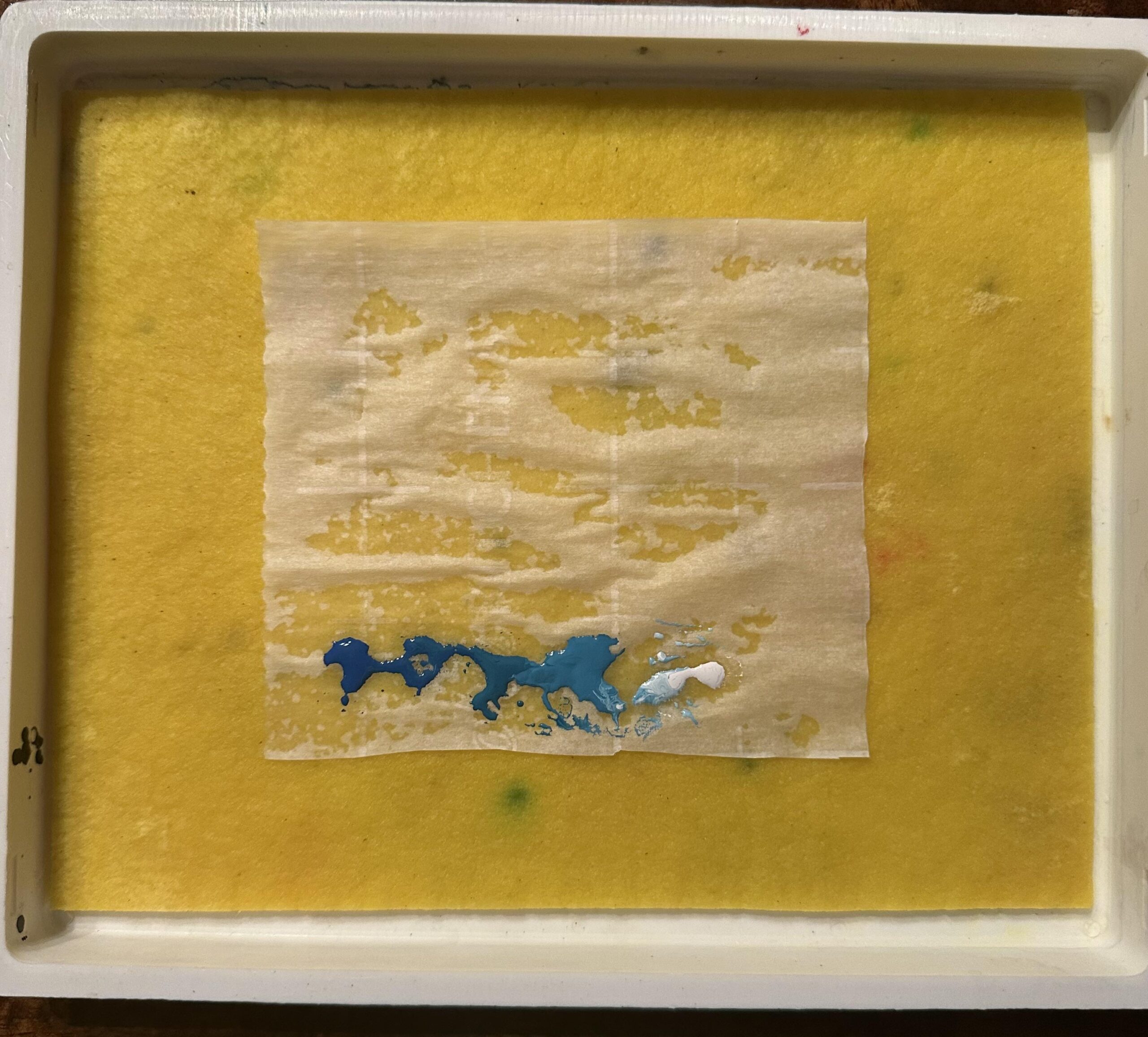 What An I Doing Wrong With My Wet Palette R minipainting