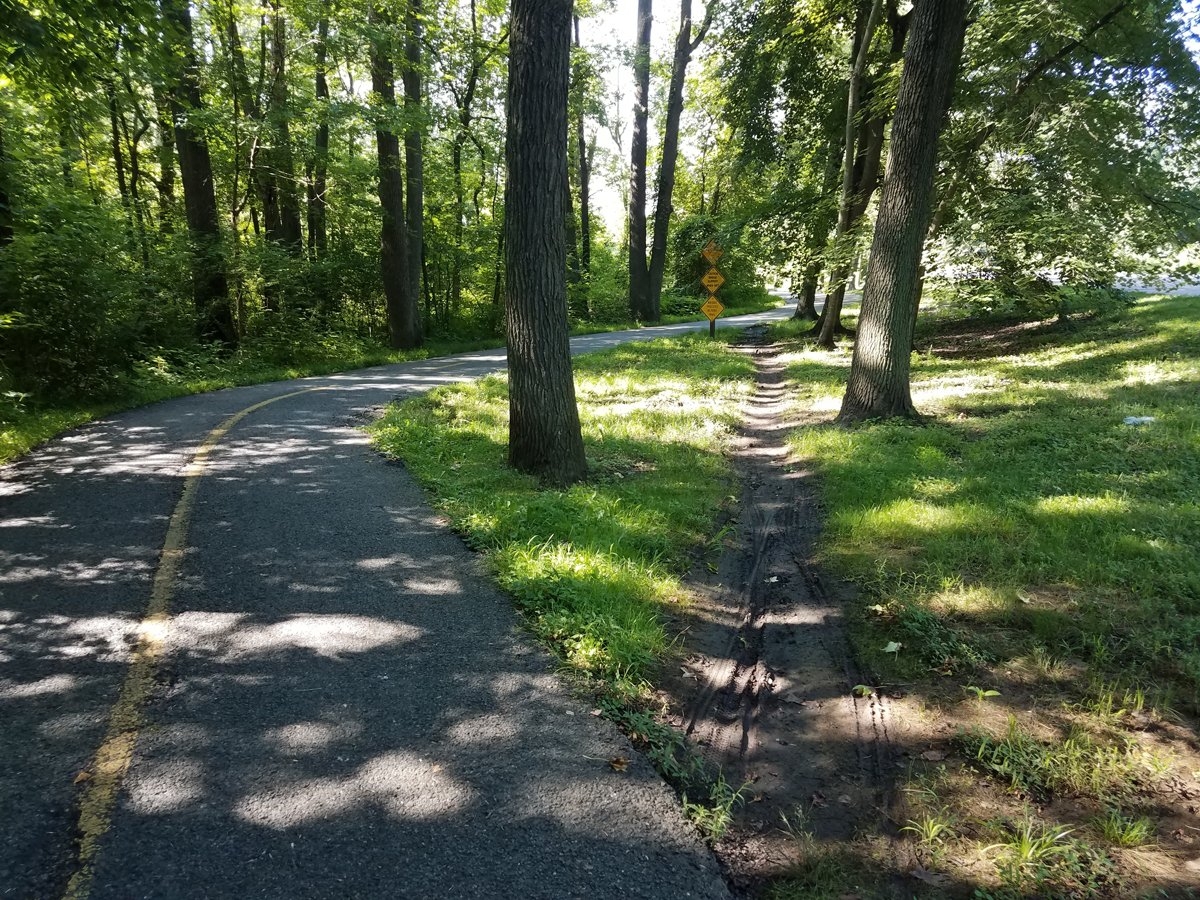 Tracing The Desire Line